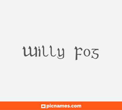 Willy Fog